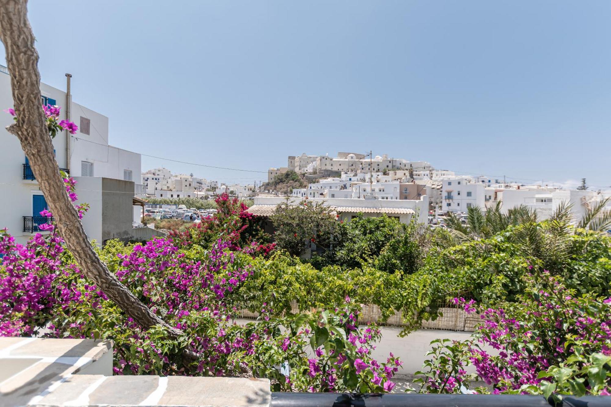 Sofi Pension Naxos City Buitenkant foto